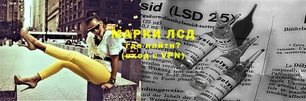 PSILOCYBIN Балабаново
