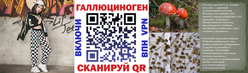 Псилоцибиновые грибы прущие грибы  Купить  Бугуруслан 